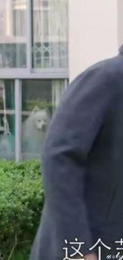 群众吃野瓜视频