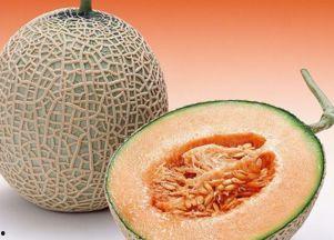 野外放羊吃哈密瓜好吗视频,一场别开生面的牧羊生活体验