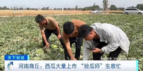荆州最新吃瓜事件视频,视频揭秘惊人真相！