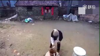 吃瓜老汉特效视频