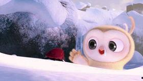 搞笑图集吃瓜视频