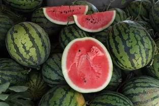 购买吃瓜视频多少钱一个,吃瓜视频价格大揭秘，一探究竟！