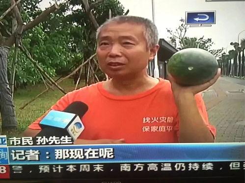 扑街吃瓜群众事件视频