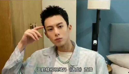 吃瓜少女王鹤棣视频播放